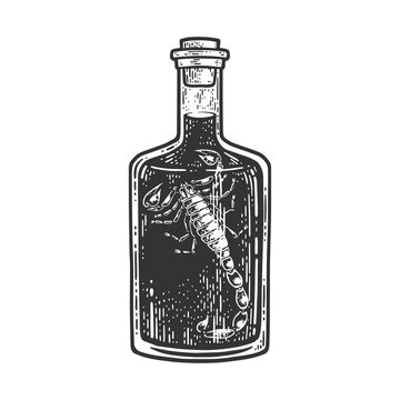 recommend clip art: scorpion vodka wine sketch engraving vector illustration. T-shirt apparel print design. Scratch board imitation. Black and white hand drawn image.