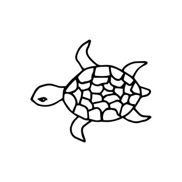 Black and white cute cartoon turtle. Drawn by hand in doodl style. Coloring book for the children. Vector illustration