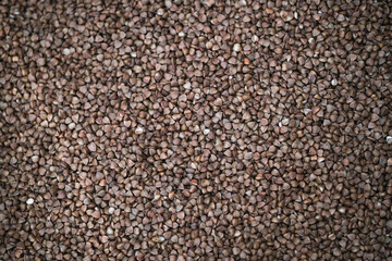 Buckwheat. Dry buckwheat background. The texture of buckwheat