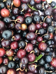fruit, food, berry, cherry, red, cherries, fresh, healthy, ripe, sweet, isolated, currant, natural, juicy, diet, fruits, cranberry, organic, black, white, dessert, nature, grape, delicious, closeup