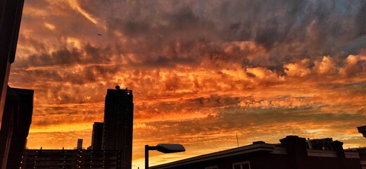 sunset in the city