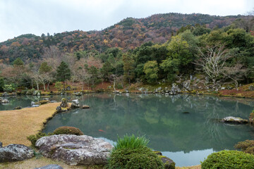 Fototapeta na wymiar Autumn japanese garden in Tenryuji temple Arashiyama, Kyoto, Japan