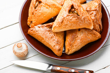 Russian meat and mushroom pie,kurnik © nikolaydonetsk