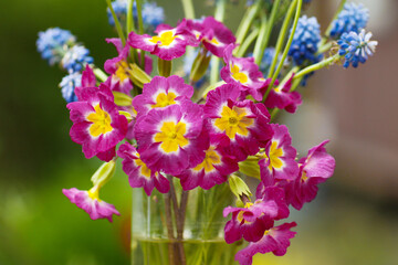 beautiful bouquet with violet and blue flowers close up photo