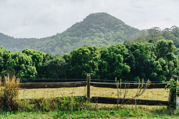 landscape with fence in Byron Bay area