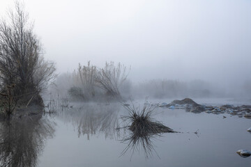 Serpis river at sunrise very calm and foggy.