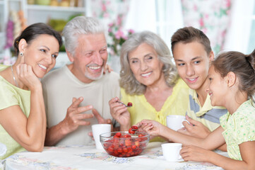 Close-up portrait of big happy family eating
