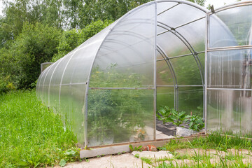 Small plastic greenhouse on small farm with green plants.