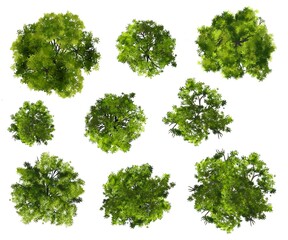 Obraz premium set of watercolor tree top view for landscape plan and architecture drawing