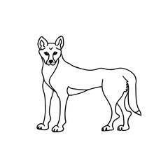 Dingo dog vector illustration. Australian animal outline drawing.