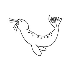 Naklejka na ściany i meble Seal vector illustration. Hand drawn sea lion logo.