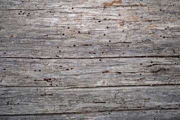 Fototapeta na wymiar Grey wood surface that can be used as background