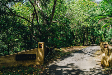 Road in mullumbimby