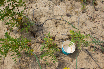 Discarded garbage on the sandy beach. Empty used dirty paper Cup. Dirty sandy beach. Environmental pollution. Environmental problem.