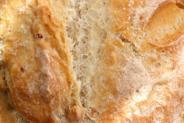 Fresh bread made at home, close up view. conora days