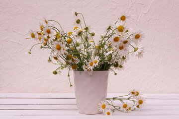 flower composition. wild white daisies on a white wooden background.