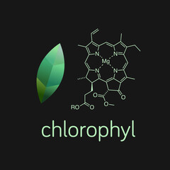Vector illustration of green leaf and chlorophyll molecule. - obrazy, fototapety, plakaty