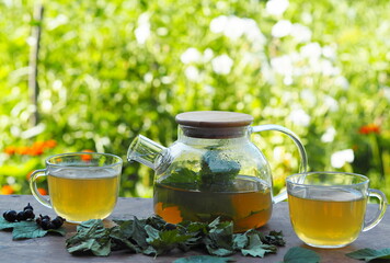 Tea in a glass teapot with cups with green leaves of black currant on a wooden colorful table.