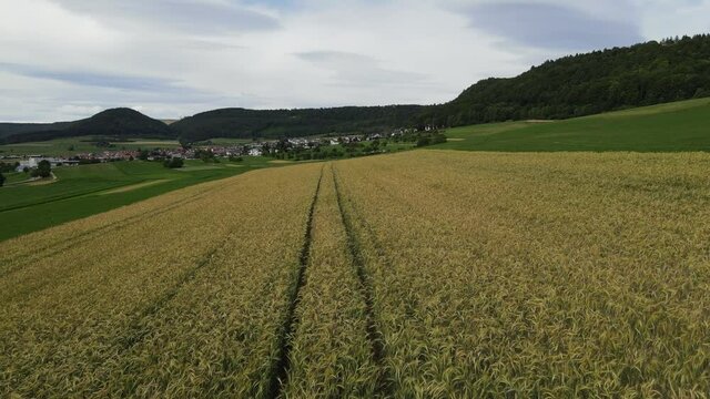 Luftaufnahme im Sommer kurz vor einem Gewitter