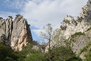 rock in the mountains