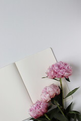 Beautiful peonies isolated on white background with notebook