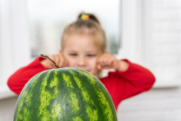 Fototapeta premium child is looking at a watermelon