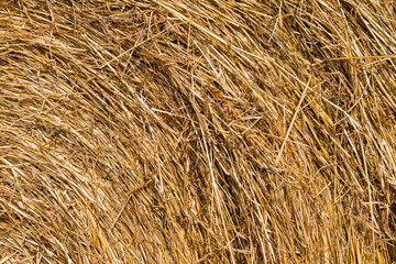 stack of dry straw. autumn background