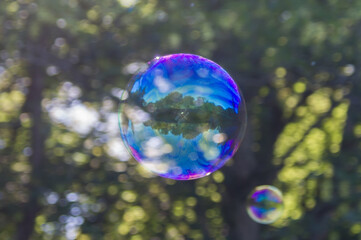 soap bubbles in the forest
