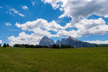 Fototapeta premium Seiser Alm (Alpe di Siusi) with Langkofel mountain at sunrise, Italy