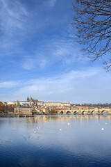 Fototapeta premium charles bridge and prague castle