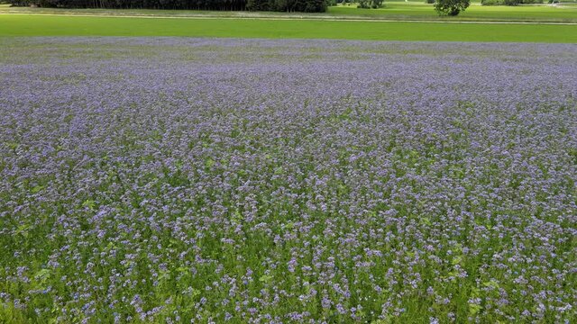 Luftbilder im Sommer /  beim Oberen Donautal