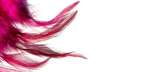 Pink feathers on a white background, abstract background, Fantasy, abstraction, soft color art...