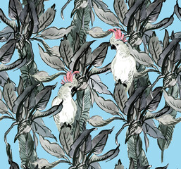 Seamless Watercolor Pattern White Parrots Birds on Palm Leaves in Tropical Jungle Exotic. Black and White on a Blue Background 