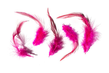 Pink feathers on a white background, abstract background, Fantasy, abstraction, soft color art design, creative, roaring 20