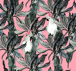 Seamless Watercolor Pattern White Parrots Birds on Palm Leaves in Tropical Jungle Exotic. Black and White on a Pink Background 