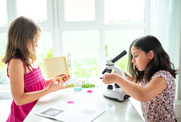 Two preteen girls working with test tube and microscope. The kid learning science in the school laboratory or at home. Children make experiment with microscope on the table.