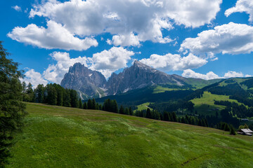 Alpe di Siusi - Seiser Alm with Sciliar - Schlern mountain group in background. Yellow spring flowers and wooden lodge in Dolomites, Trentino Alto Adige, South Tyrol, Italy, Europe