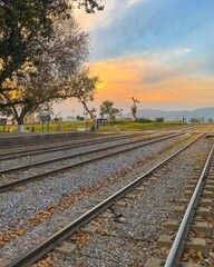 Fototapeta premium railway in the countryside