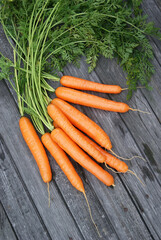 whole carrots with tops leaves on a wooden background