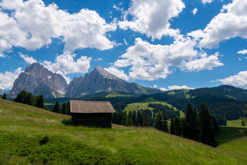 Fototapeta na wymiar Summer in Italian Dolomiti Alps. Seiser Alm or Alpe di Siusi location, Bolzano province, South Tyrol, Italy, Europe