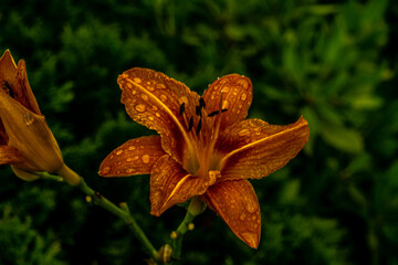 Unterwegs im Erzgebirge Natur Stadt City 