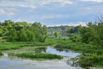 River meanders on a cloudy day, clouds in the sky.