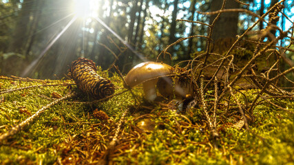 Unterwegs im Erzgebirge Natur Stadt City 