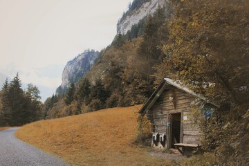 Old wooden shack on the side of a country road at the foot of a mountain