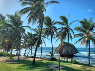 Beach in Barbados with Huge Rock Boulder in Sea, Tall Palm Trees, Waves, Blue Sky and Green Grass (Bathsheba, Barbados East Coast, Caribbean) - Atlantic Ocean Side - obrazy, fototapety, plakaty