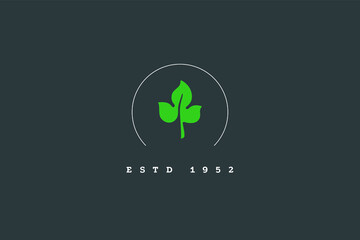 Leaf logo design. Plant flower organic brand sign, minimal rustic branch monogram drawing, vector illustration 