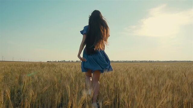 Young slim woman with long dark hair running by agricultural wheat field and she is unrecognizable because dont show face. Happy and successful lifestyle concept