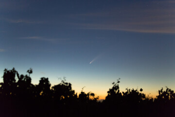 Neowise comet in the Chianti hills, Tuscany, Italy