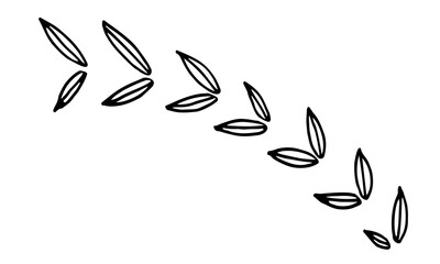 Collection of hand drawn leaves. Doodle illustration. Simple floral elements isolated on white background