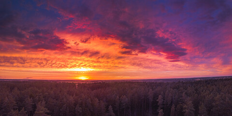 Red sunset above forest, panorama of dreamy landscape
